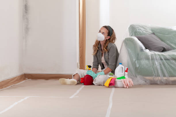 Reliable Mold Remediation contractor in Trenton, MI by 24 Hour Mold Removal
